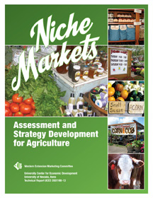 cover of Niche  Markets book